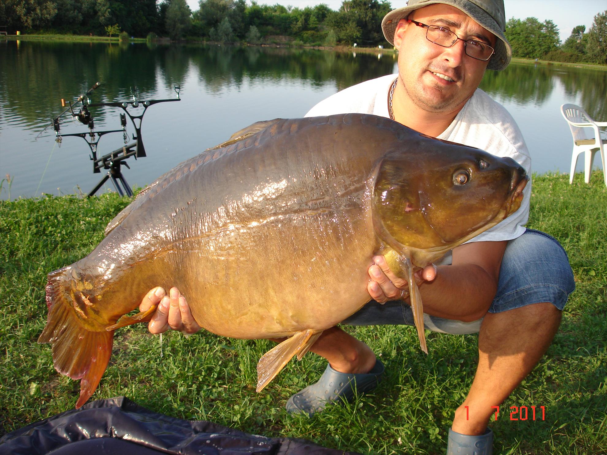 THE BIGS OF 2011 - p1000108.JPG